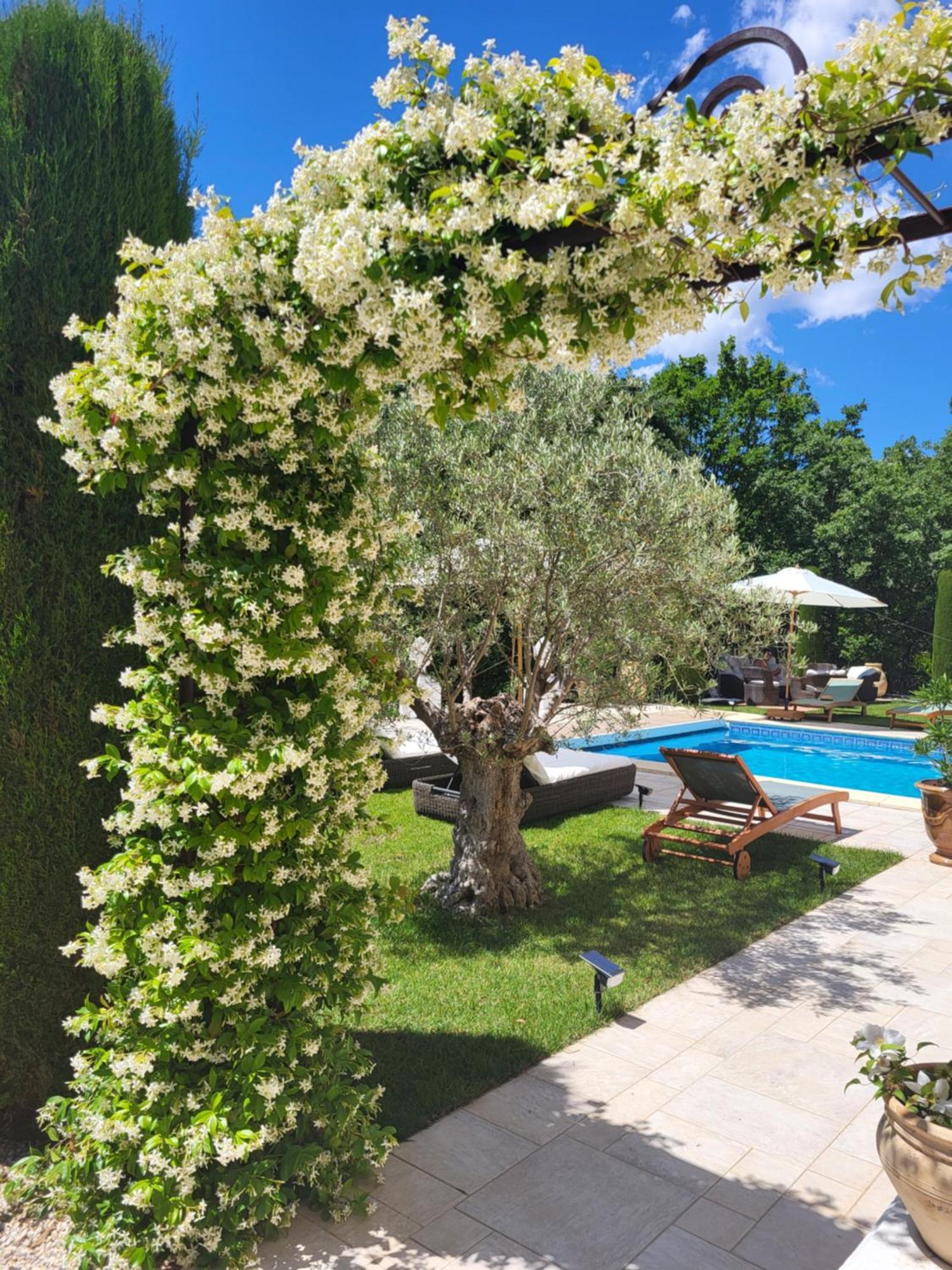 Villa Sulis 洛尔格 外观 照片